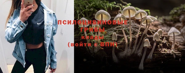 мяу мяу кристалл Алексин