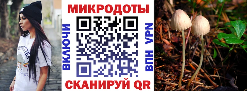 Псилоцибиновые грибы прущие грибы  Могоча 